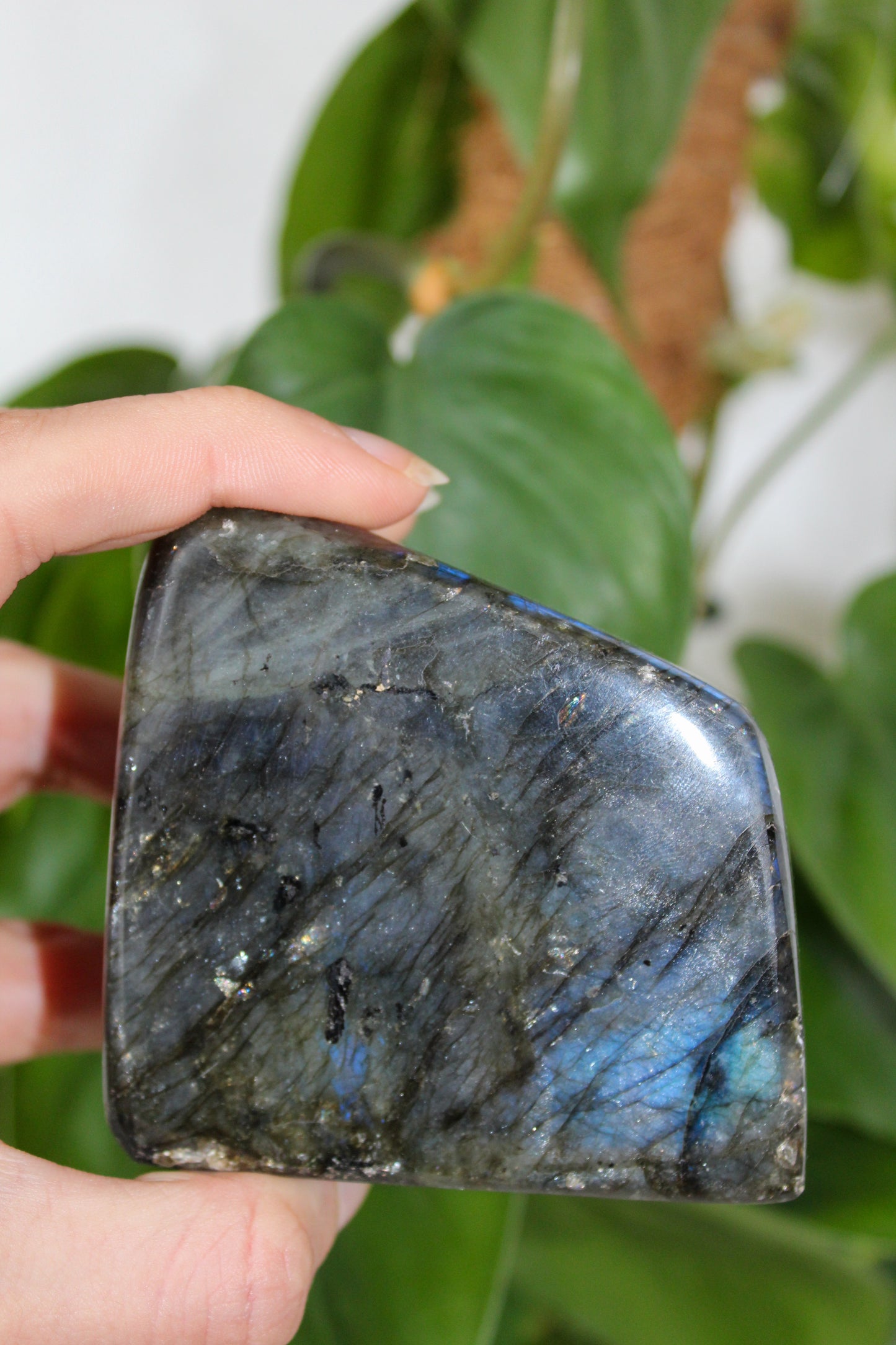 BLOCCHI LABRADORITE