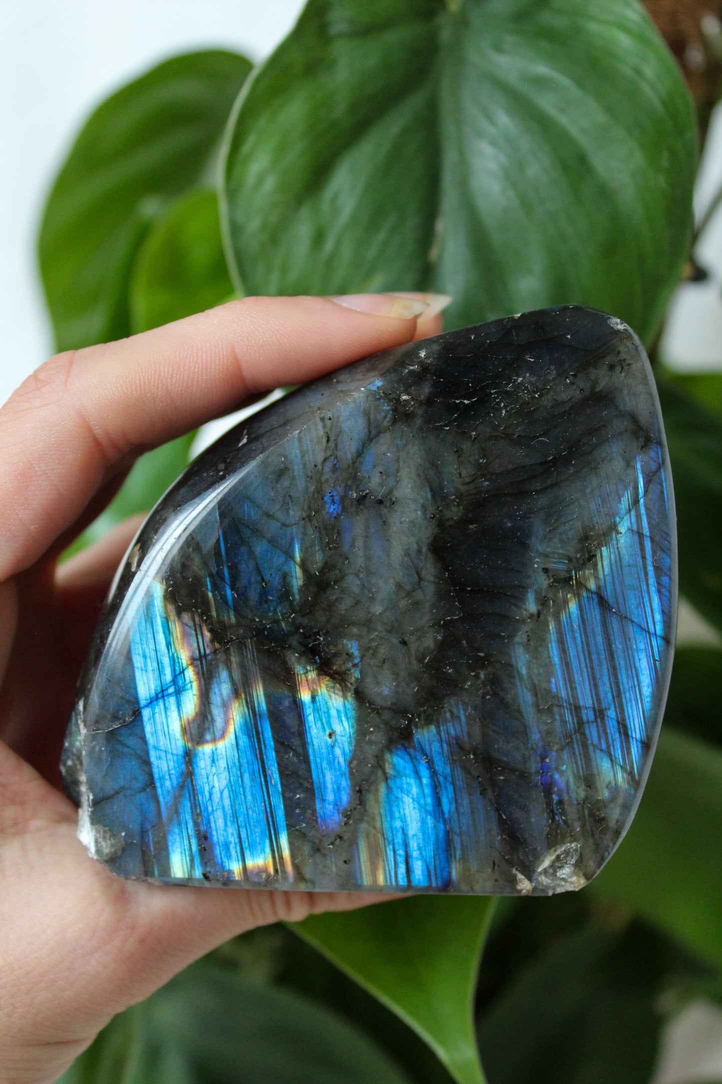 BLOCCHI LABRADORITE