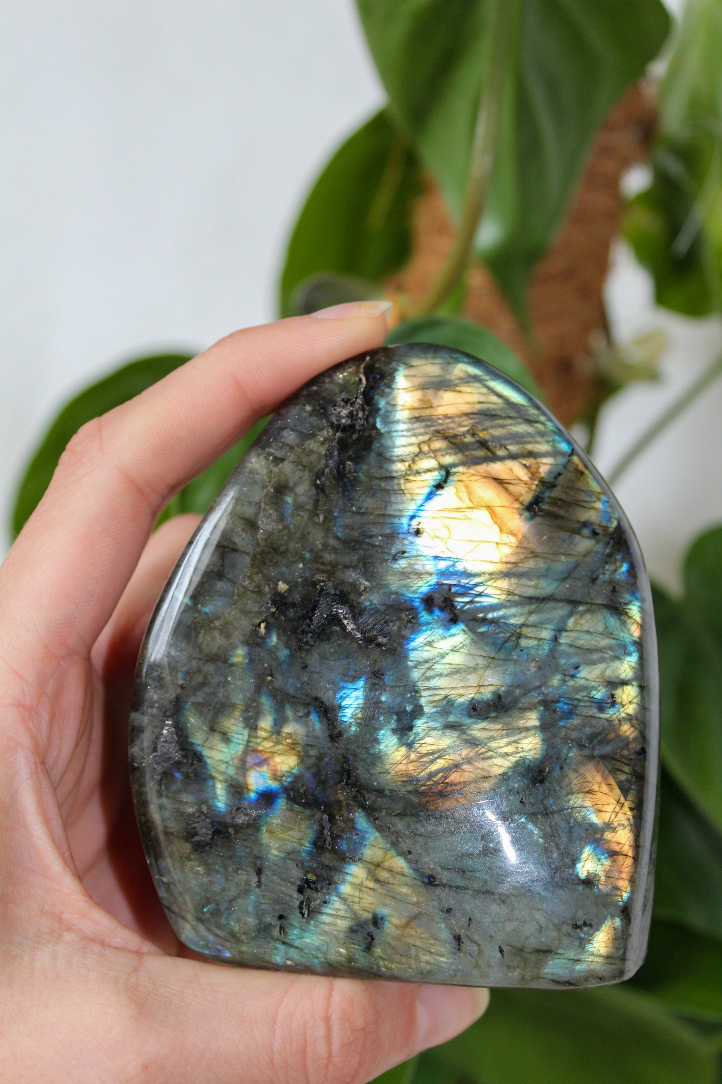 BLOCCHI LABRADORITE